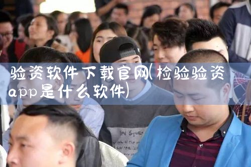 验资软件下载官网