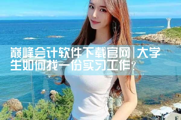 巅峰会计软件下载官网