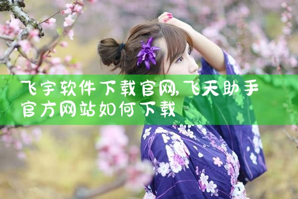 飞宇软件下载官网