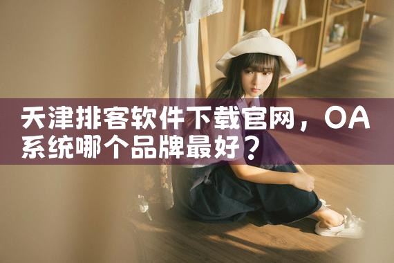 天津排客软件下载官网