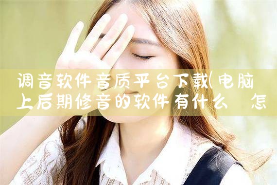 调音软件音质平台下载