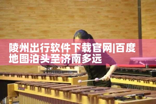 陵州出行软件下载官网