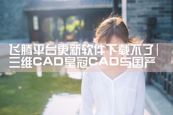 飞腾平台更新软件下载不了